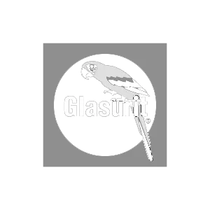Glasuit